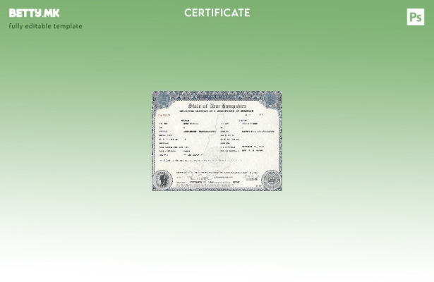 Модерен стил САД Њу Хемпшир брачен шаблон